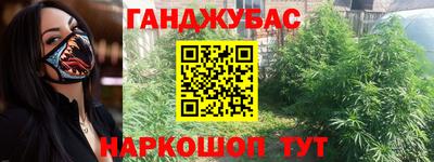 шишки Шадринск