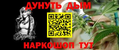 шишки Шадринск
