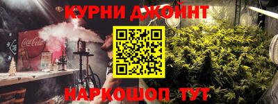 шишки Шадринск