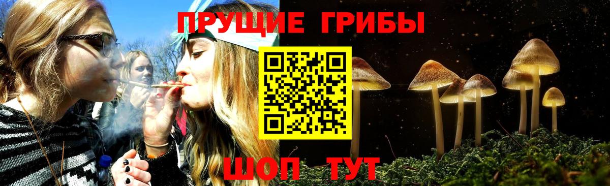 Волжск  Псилоцибиновые грибы мицелий  Псилоцибиновые грибы Psilocybe  Вход с VPN 